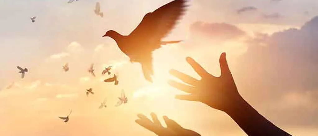 PROMO 64J1 Faith - Dove Hands Sky Sun Silhouette - iStock - ipopba PROMO Faith - Dove Hands Sky Sun Silhouette - iStock - ipopba
