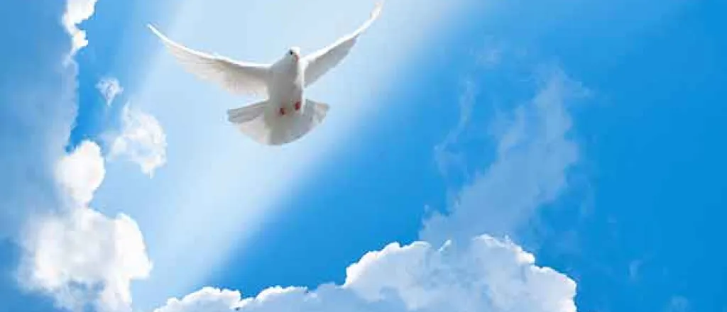 PROMO Faith - Religion Animal Bird Dove Clouds - iStock - akinshin