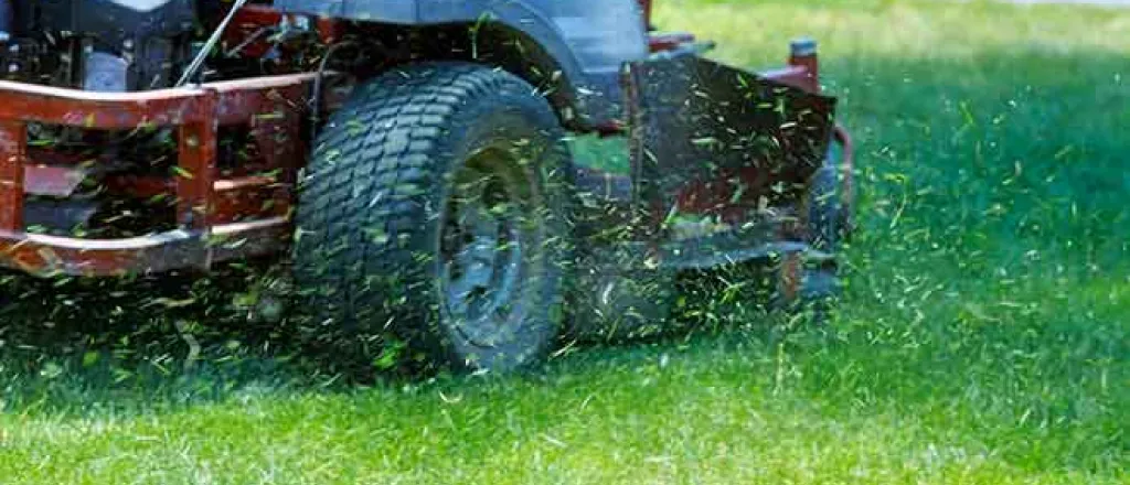 PROMO 64J1 Garden - Lawn Tractor Grass Yard - iStock - photovs PROMO 64J1 Garden - Lawn Tractor Grass Yard - iStock - photovs