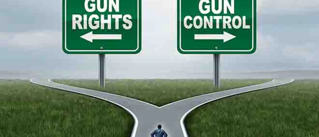 PROMO Government - Sign Gun Rights Control - iStock - wildpixel