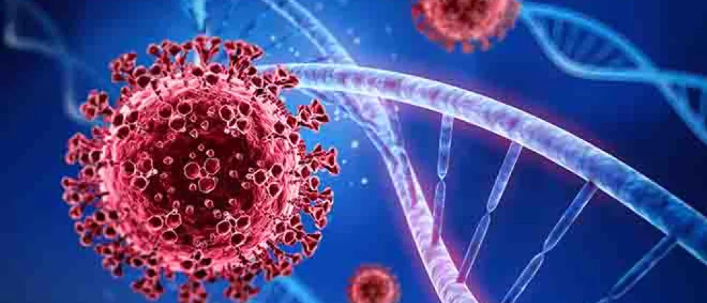 PROMO 64J1 Health - COVID-19 Coronavirus virus DNA - iStock - peterschreiber PROMO Health - COVID-19 Coronavirus virus DNA - iStock - peterschreiber