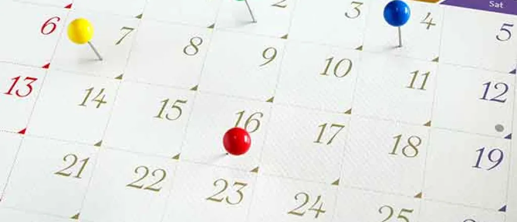 PROMO Miscellaneous - Calendar Events Dates Pins - iStock - nunawwoofy