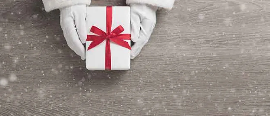 PROMO Miscellaneous - Gift Present Holiday Santa Hands Christmas - iStock - eggeeggjiew