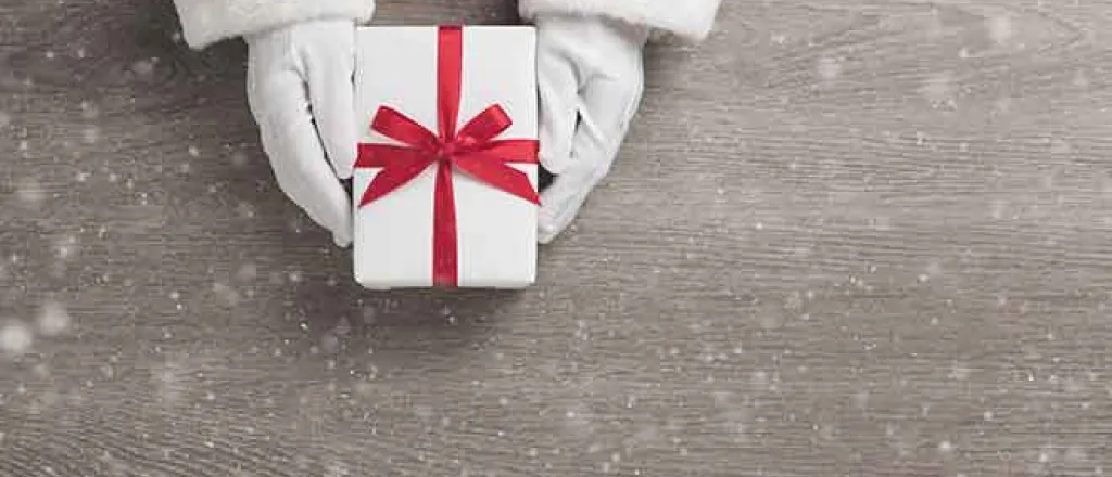PROMO 64J1 Miscellaneous - Gift Present Holiday Santa Hands Christmas - iStock - eggeeggjiew PROMO Miscellaneous - Gift Present Holiday Santa Hands Christmas - iStock - eggeeggjiew