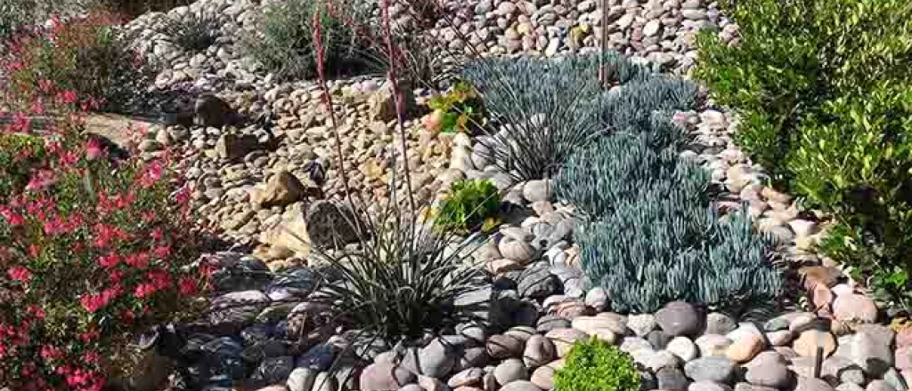 PROMO 64J1 Outdoors - Landscape Xeriscape Plants Rocks Water Drought - iStock - remedypic