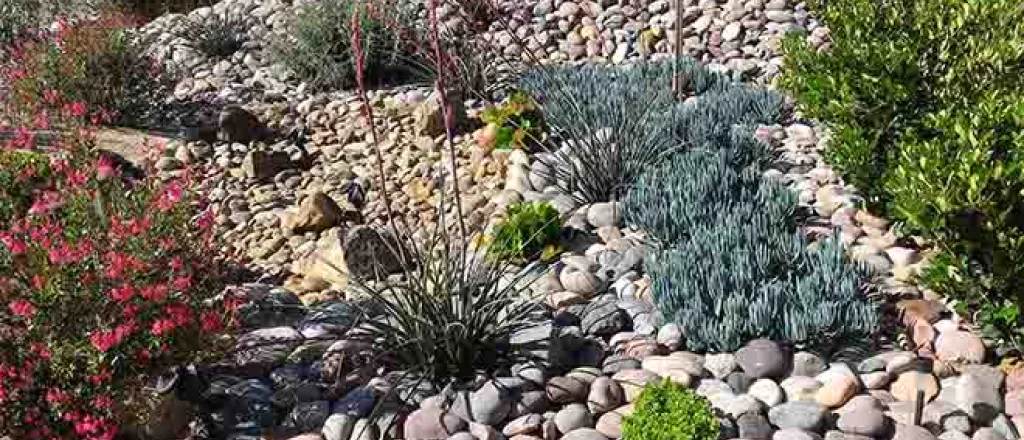 PROMO 64J1 Outdoors - Landscape Xeriscape Plants Rocks Water Drought - iStock - remedypic PROMO 64J1 Outdoors - Landscape Xeriscape Plants Rocks Water Drought - iStock - remedypic