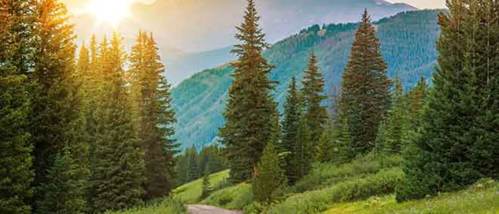 PROMO 64J1 Outdoors - Mountains Trees Road Landscape Sun - iStock - welcomia PROMO Outdoors - Mountains Trees Road Landscape Sun - iStock - welcomia