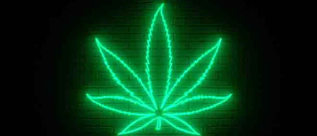 PROMO 64J1 Plant - Marijuana Leaf Neon Sign - iStock - Nikolay Evsyukov