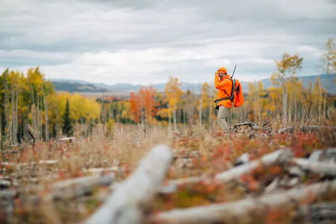 2017 PICT Autumn hunter - CPW