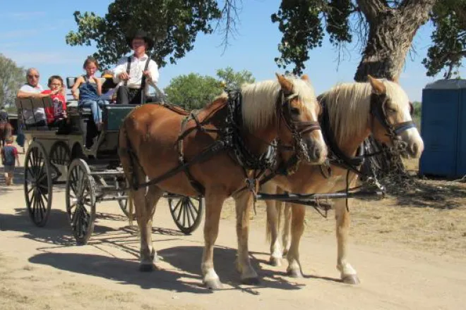 PICT Wagon Rides at Boggsville Days - Barbara Shively