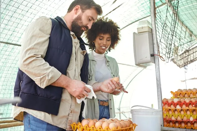 A man and woman stand next to each other and grade eggs in bulk under a dome-shaped, translucent structure.