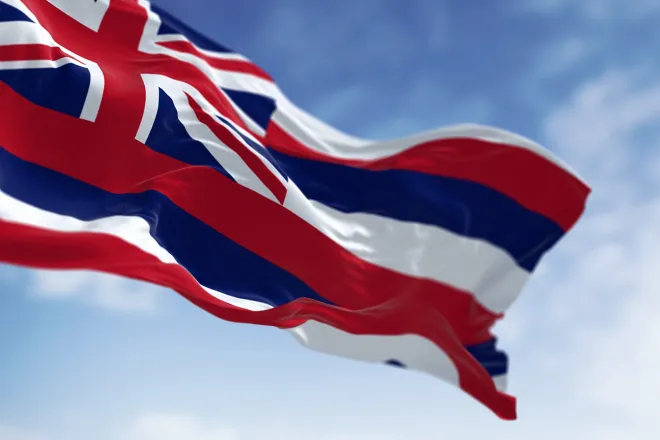 PROMO 64J Flag - Hawaii State Flag - rarrarorro - iStock-1485432091