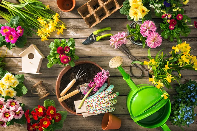 PROMO 660 x 440 Garden - Tools Flowers Plants Glove Bird House - iStock