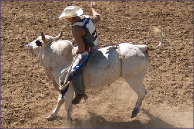 PROMO Bull Riding