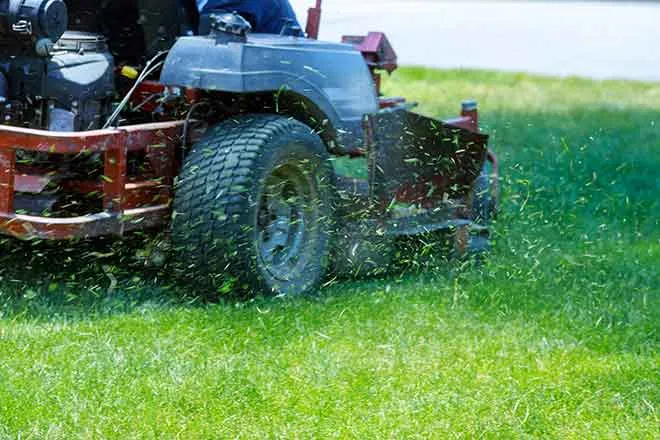 PROMO 64J1 Garden - Lawn Tractor Grass Yard - iStock - photovs