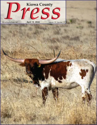 Longhorn cattle standing in a field. Photo by Chris Sorensen