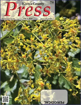 Photo of the week from the July 5, 2024, edition of the Kiowa County Press in Eads, Colorado - blossoms on a rain tree - Chris Sorensen. Photo of the week from the July 5, 2024, edition of the Kiowa County Press in Eads, Colorado - blossoms on a rain tree - Chris Sorensen.
