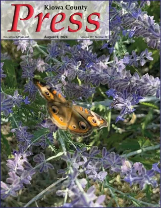 rado - Common Buckeye Butterfly feasting on Russian Sage blossoms - Chris Sorensen. rado - Common Buckeye Butterfly feasting on Russian Sage blossoms - Chris Sorensen.