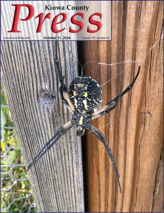 Black-and-Yellow Argiope spider - common across Colorado - Chris Sorensen Black-and-Yellow Argiope spider - common across Colorado - Chris Sorensen