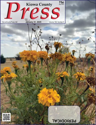 A little reminder of spring following recent snow and sub-freezing temperatures - Chris Sorensen. A little reminder of spring following recent snow and sub-freezing temperatures - Chris Sorensen.