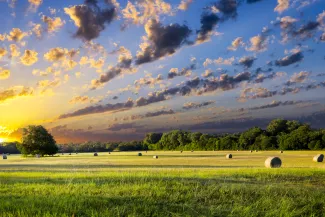 PROMO HIRES CROPPED Agriculture - Baled Hay Farm Yonder Report - Dean_Fikar - iStock-503150251 Wide angle shot of a farm field with round bales of hay at sunrise or sunset under a partly cloudy sky.