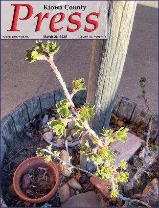 Photo of the week from the March 28, 2025, edition of the Kiowa County Press in Eads, Colorado - Spring began last Thursday, and a few plants are getting an early start on the season - Chris Sorensen. Photo of the week from the March 28, 2025, edition of the Kiowa County Press in Eads, Colorado - Spring began last Thursday, and a few plants are getting an early start on the season - Chris Sorensen.