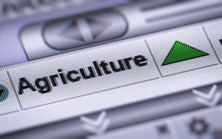 PROMO HIRES Agriculture - Computer Word Green Arrow - iStock - Pashalgnatov Close up of a computer screen showing the word "Agriculture."
