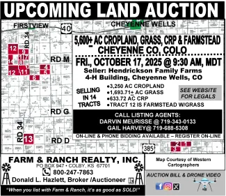Advertisement for a land auction in Cheyenne County
