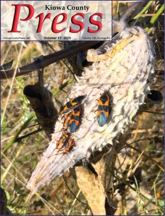 Photo of the week from the October 17, 2025, edition of the Kiowa County Press in Eads, Colorado - Large Milkweed Beetles catching the morning sun in Kiowa County, Colorado - Chris Sorensen. Photo of the week from the October 17, 2025, edition of the Kiowa County Press in Eads, Colorado - Large Milkweed Beetles catching the morning sun in Kiowa County, Colorado - Chris Sorensen.