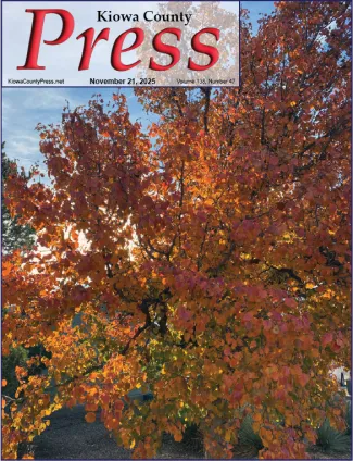 Despite being mid-November, fall color remains in part of Kiowa County, Colorado - Jeanne Sorensen.