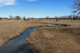 Small river winding through an open area with trees in the distance.