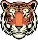 Cheyenne Wells tiger mascot