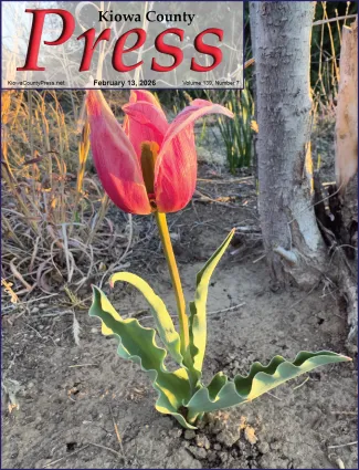 Photo of the week from the February 13, 2026, edition of the Kiowa County Press in Eads, Colorado -  With recent unseasonably warm temperatures, will it be long before cold-hard spring flowers start to make an appearance? - Chris Sorensen.