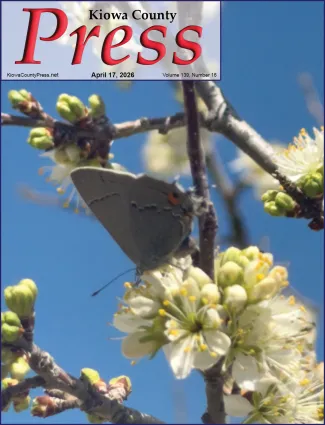 Photo of the week from the April 17, 2026, edition of the Kiowa County Press in Eads, Colorado - Grey Hairstreak butterfly enjoying a spring feast in southeast Colorado - Chris Sorensen.