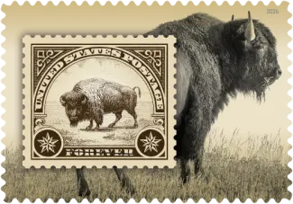 2026-05-27 COMMUNITY U.S. Postal Service issues American bison Forever stamp at Boston World Exposition-Image-1