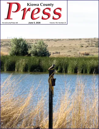 Western Kingbird at Jackson’s Pond south of Eads in Kiowa County, Colorado. - Chris Sorensen.