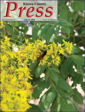 Photo of the week from the July 10, 2026, edition of the Kiowa County Press in Eads, Colorado - Great Golden Digger Wasp - Chris Sorensen.