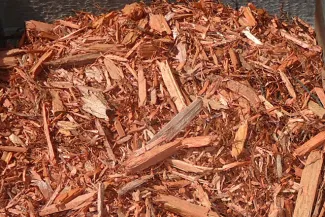 PROMO 660 x 440 Garden - Red Cedar Mulch - Wikimedia