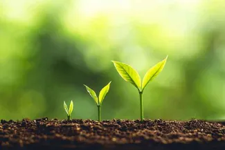 PROMO 64J1 Agriculture - Column Sowing Seeds Plant Growth Soil Green - iStock - ArtRachen01 PROMO 64J1 Agriculture - Column Sowing Seeds Plant Growth Soil Green - iStock - ArtRachen01
