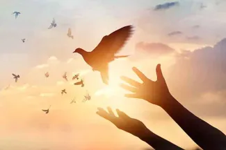 PROMO 64J1 Faith - Dove Hands Sky Sun Silhouette - iStock - ipopba PROMO Faith - Dove Hands Sky Sun Silhouette - iStock - ipopba