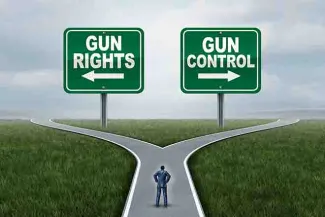 PROMO Government - Sign Gun Rights Control - iStock - wildpixel