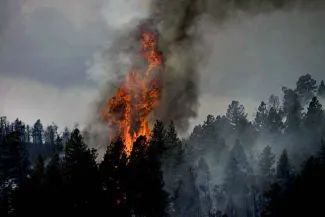 PROMO 64J1 Miscellaneous - Fire Trees Forest Mountains - Pixabay - David Mark PROMO Miscellaneous - Fire Trees Forest Mountains - Pixabay - David Mark