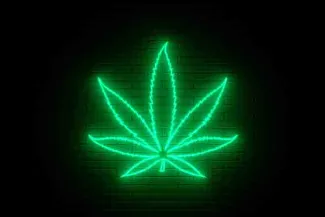 PROMO 64J1 Plant - Marijuana Leaf Neon Sign - iStock - Nikolay Evsyukov