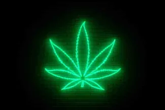 PROMO 64J1 Plant - Marijuana Leaf Neon Sign - iStock - Nikolay Evsyukov PROMO 64J1 Plant - Marijuana Leaf Neon Sign - iStock - Nikolay Evsyukov