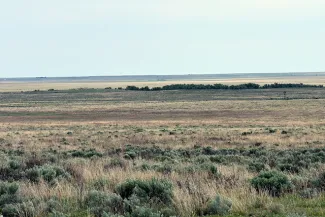 PROMO 660 x 440 Miscellaneous - Prairie Sage Brush Sand Creek Kiowa County Colorado - Chris Sorensen PROMO 660 x 440 Miscellaneous - Prairie Sage Brush Sand Creek Kiowa County Colorado - Chris Sorensen