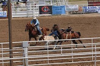 2017-09-10 PICT Fair - Steer Wrestling - Roland Sorensen