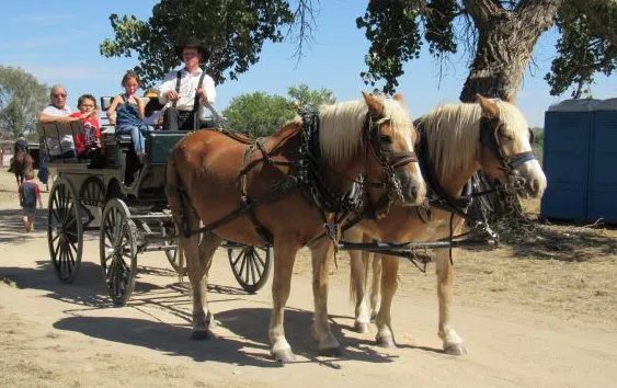 PICT Wagon Rides at Boggsville Days - Barbara Shively