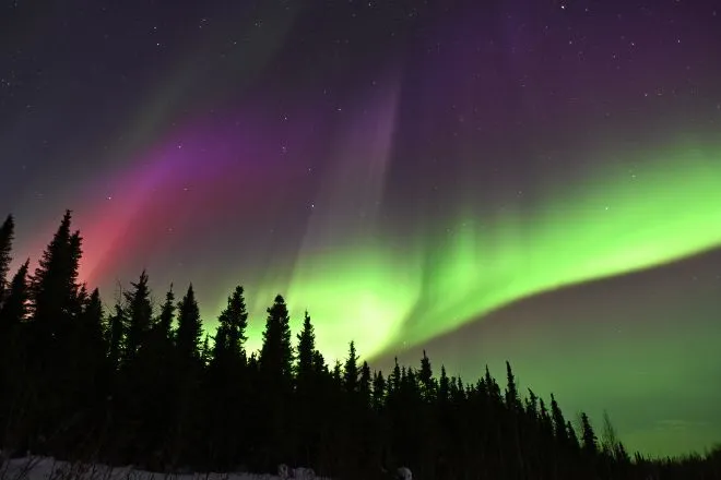 Why the northern lights appear in different colors