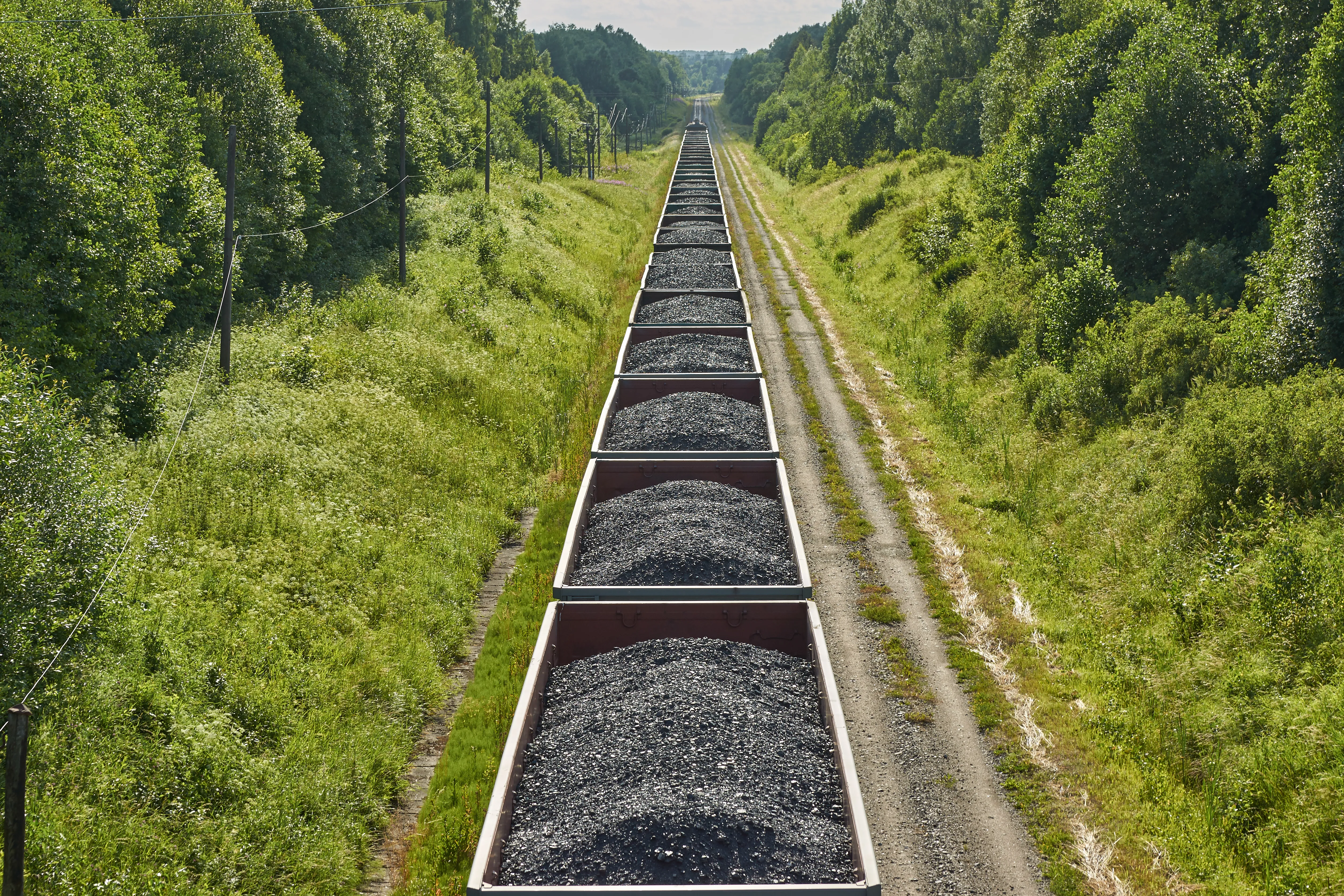 Train cars loaded with coal stretching into the distance with trees on both sides.