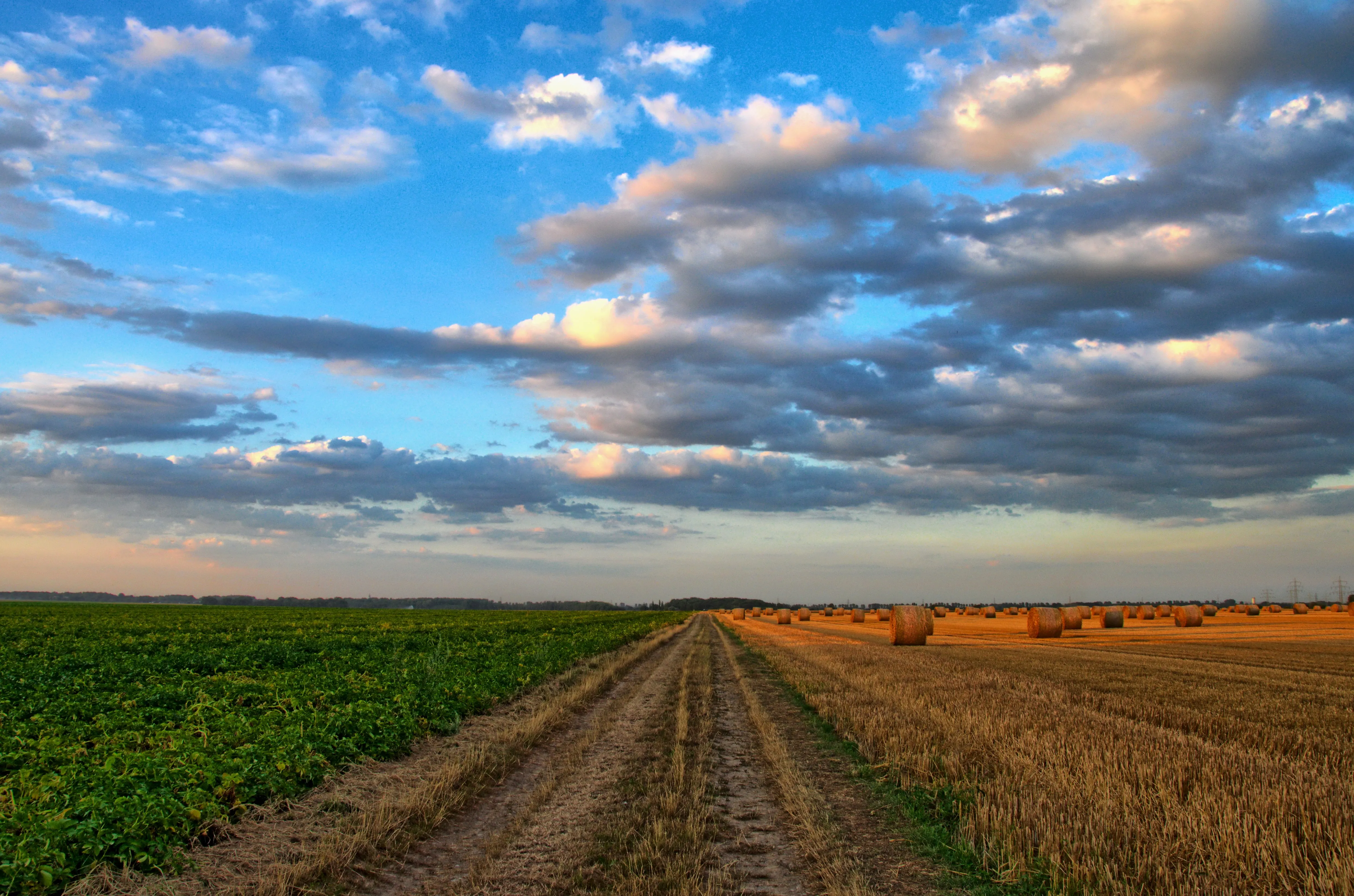 Dirt road running between a green, growing field and baled hay.